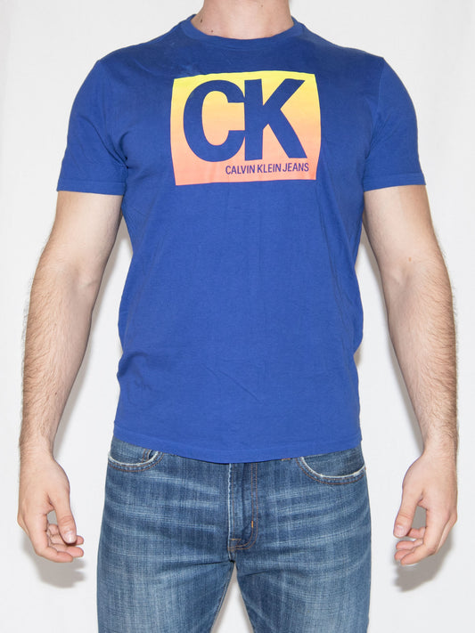 Blue Calvin Klein Tshirt-L Brand New / Calvin Klein / L